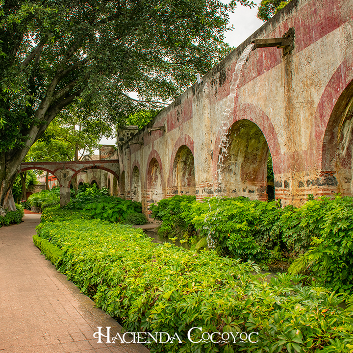Hacienda Cocoyoc