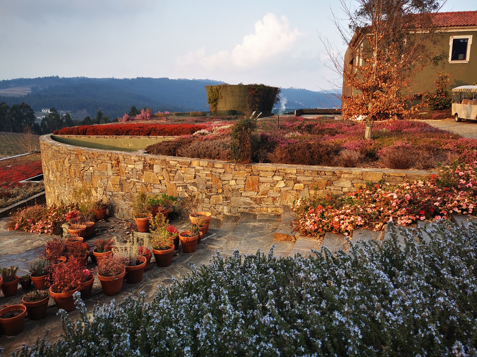 Monverde Wine Experience Hotel