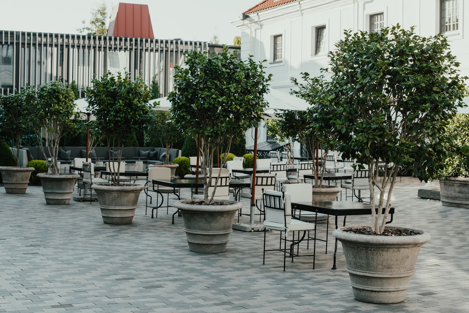 Hotel Pacai