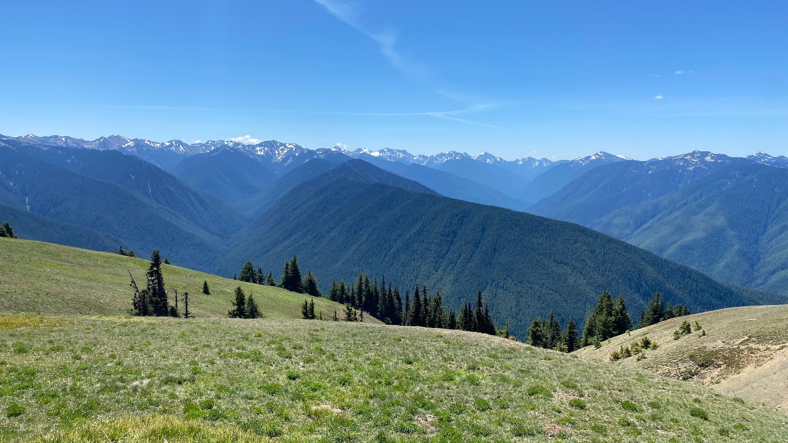 Day Trip to Olympic National Park From Seattle