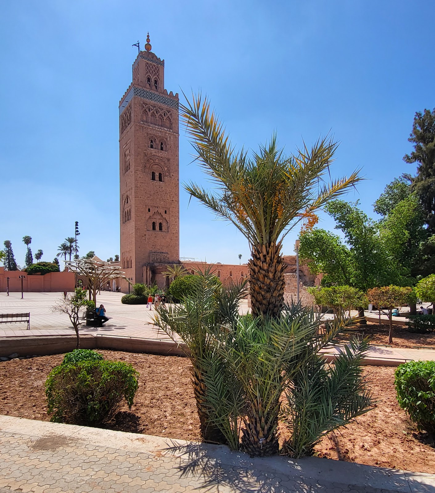 מרקש