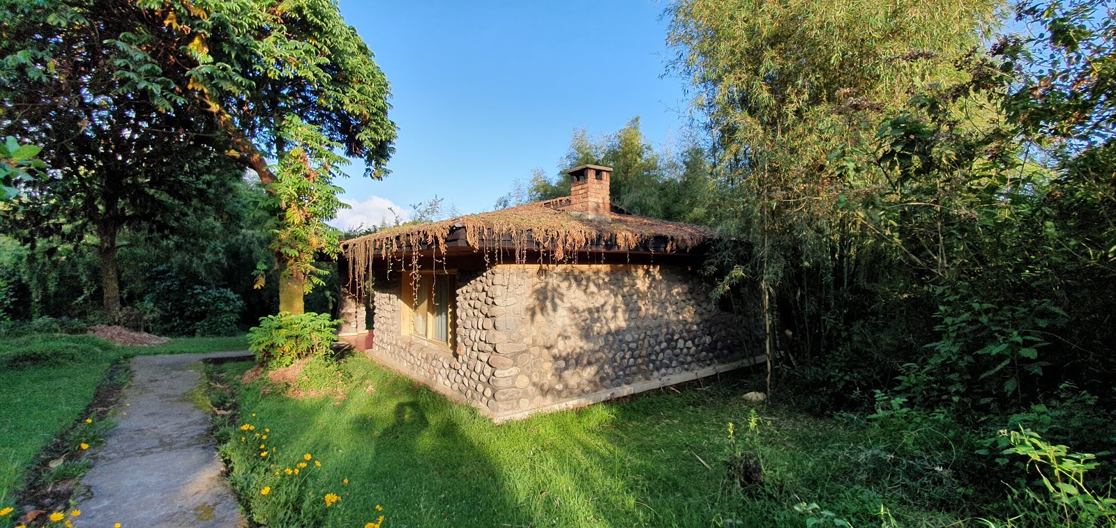 Mountain Gorilla View Lodge