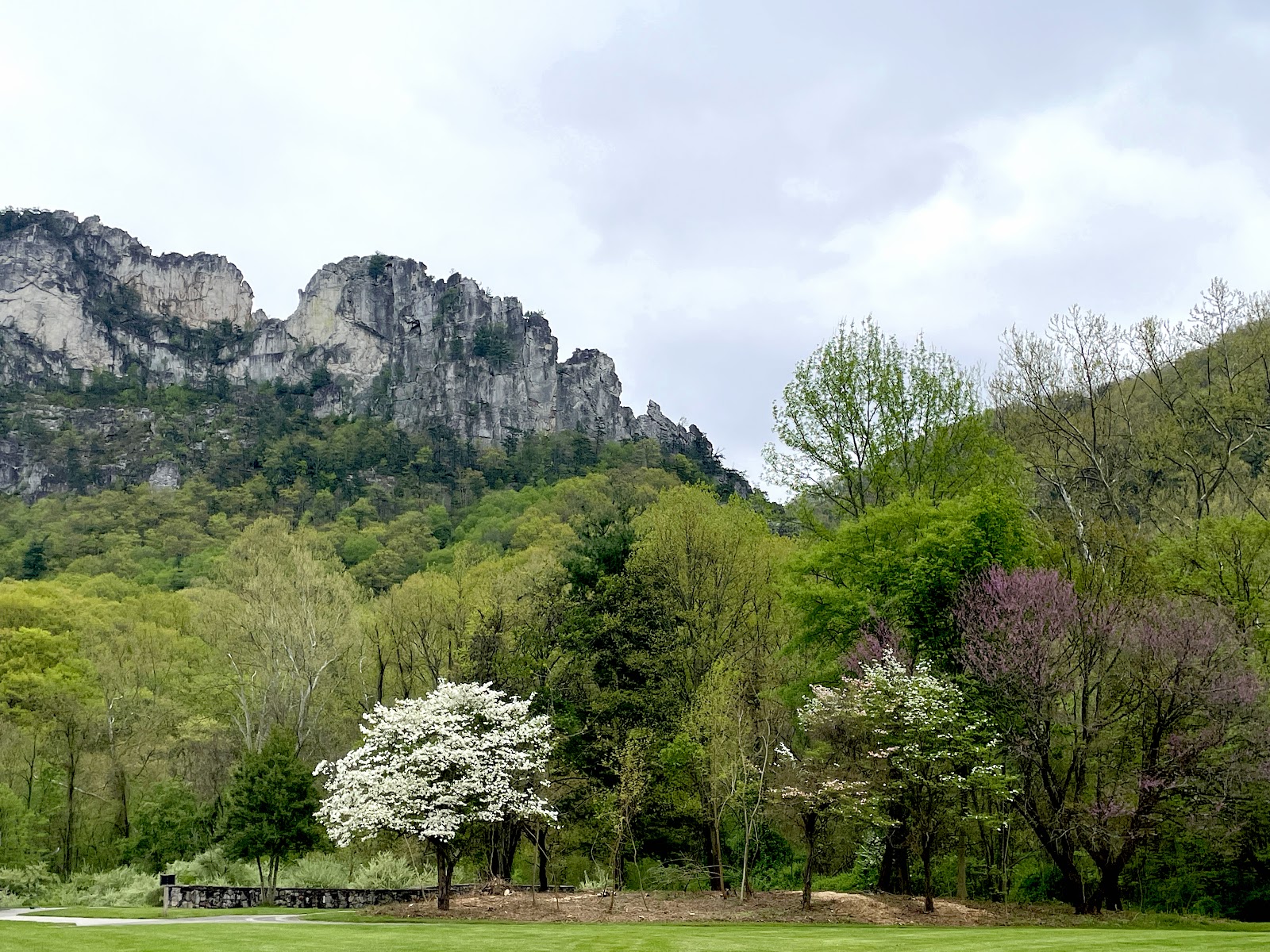 Seneca Rocks Discovery Center
