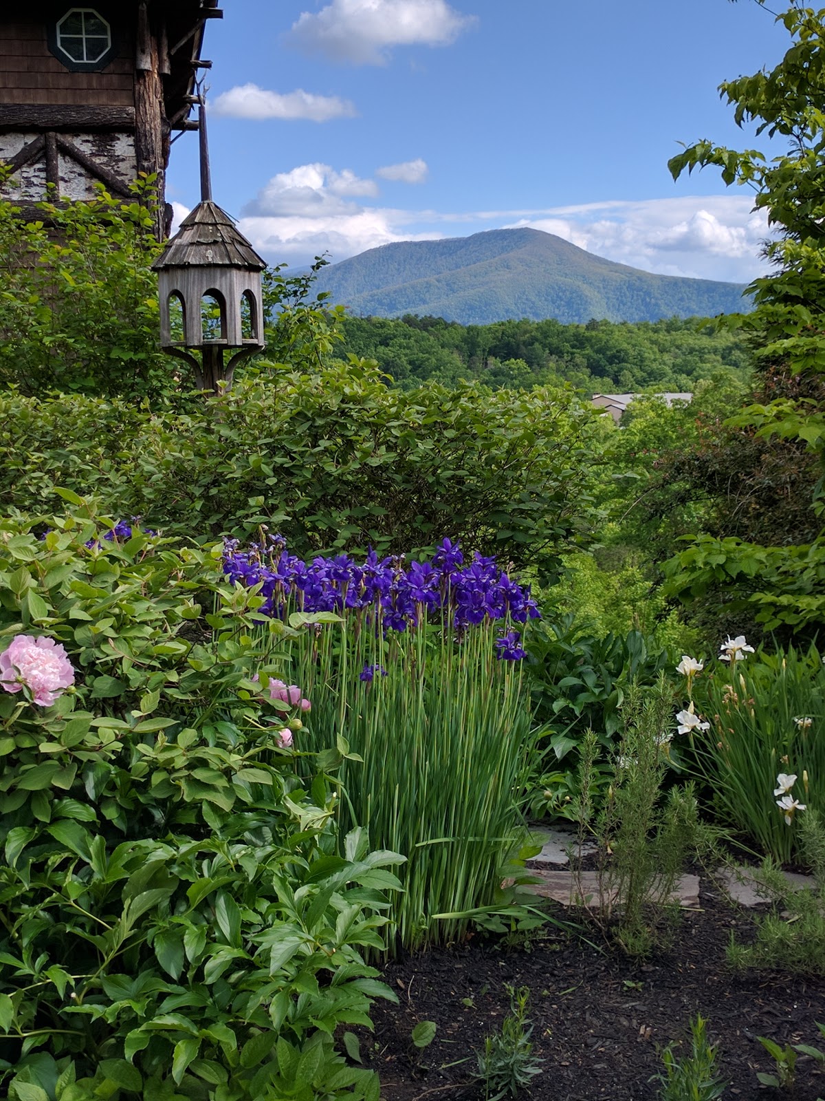 The Lodge at Buckberry Creek