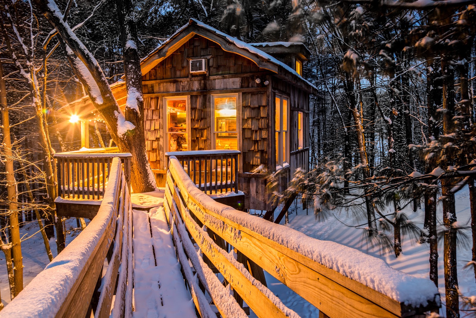The Mohicans Treehouse Resort