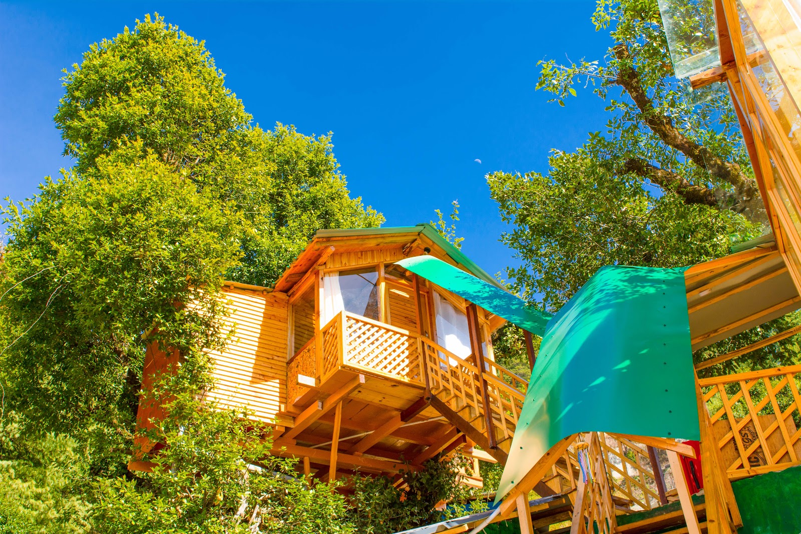 The Tree House Resort, Manali