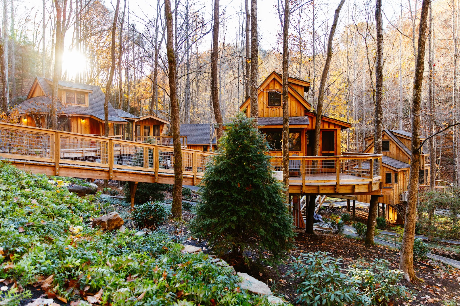 Treehouse Grove at Norton Creek