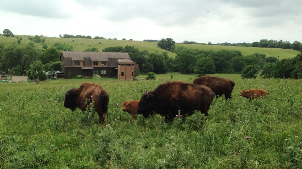 Circle S Ranch & Country Inn