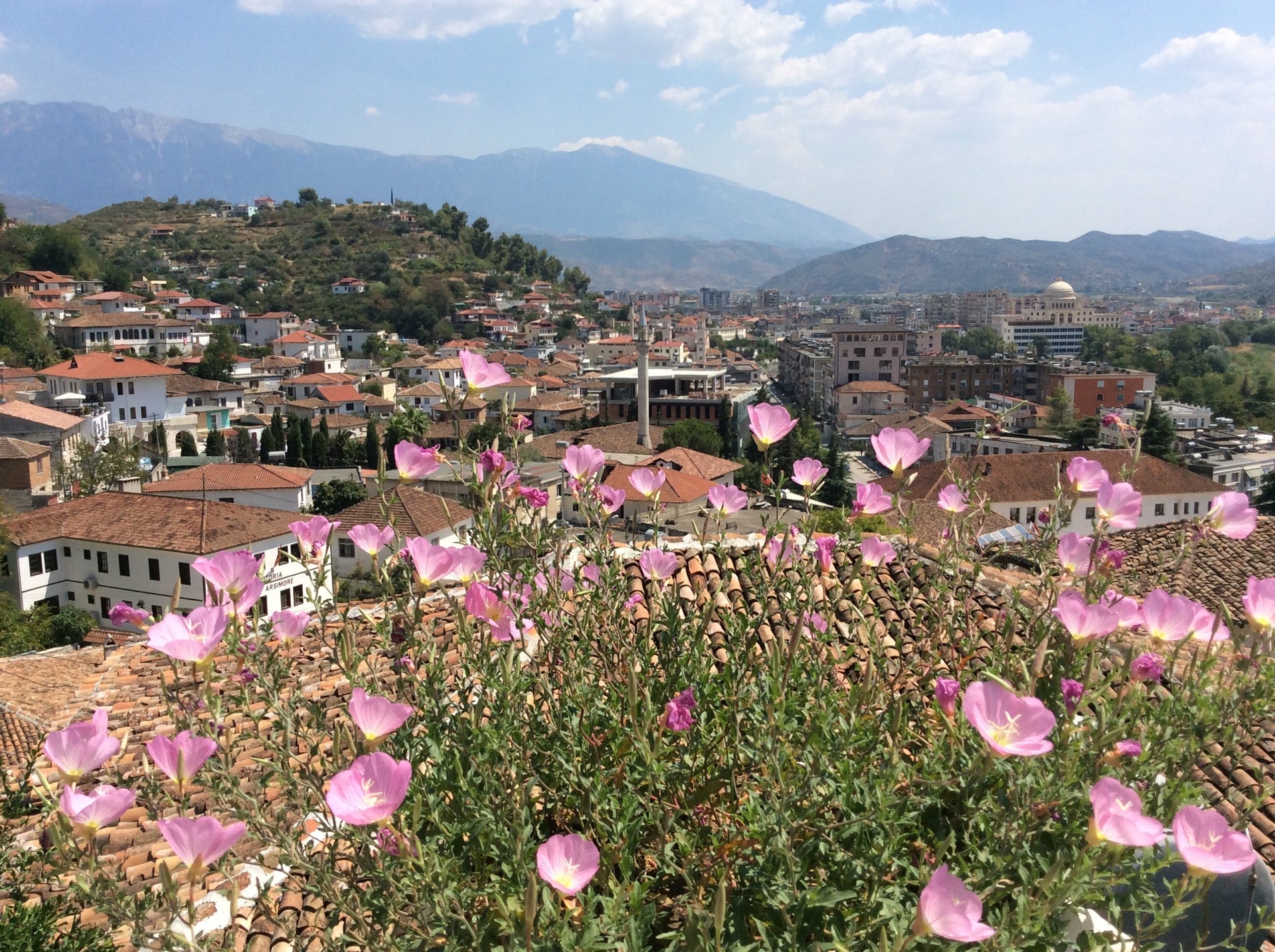 Hotel Vila Aleksander