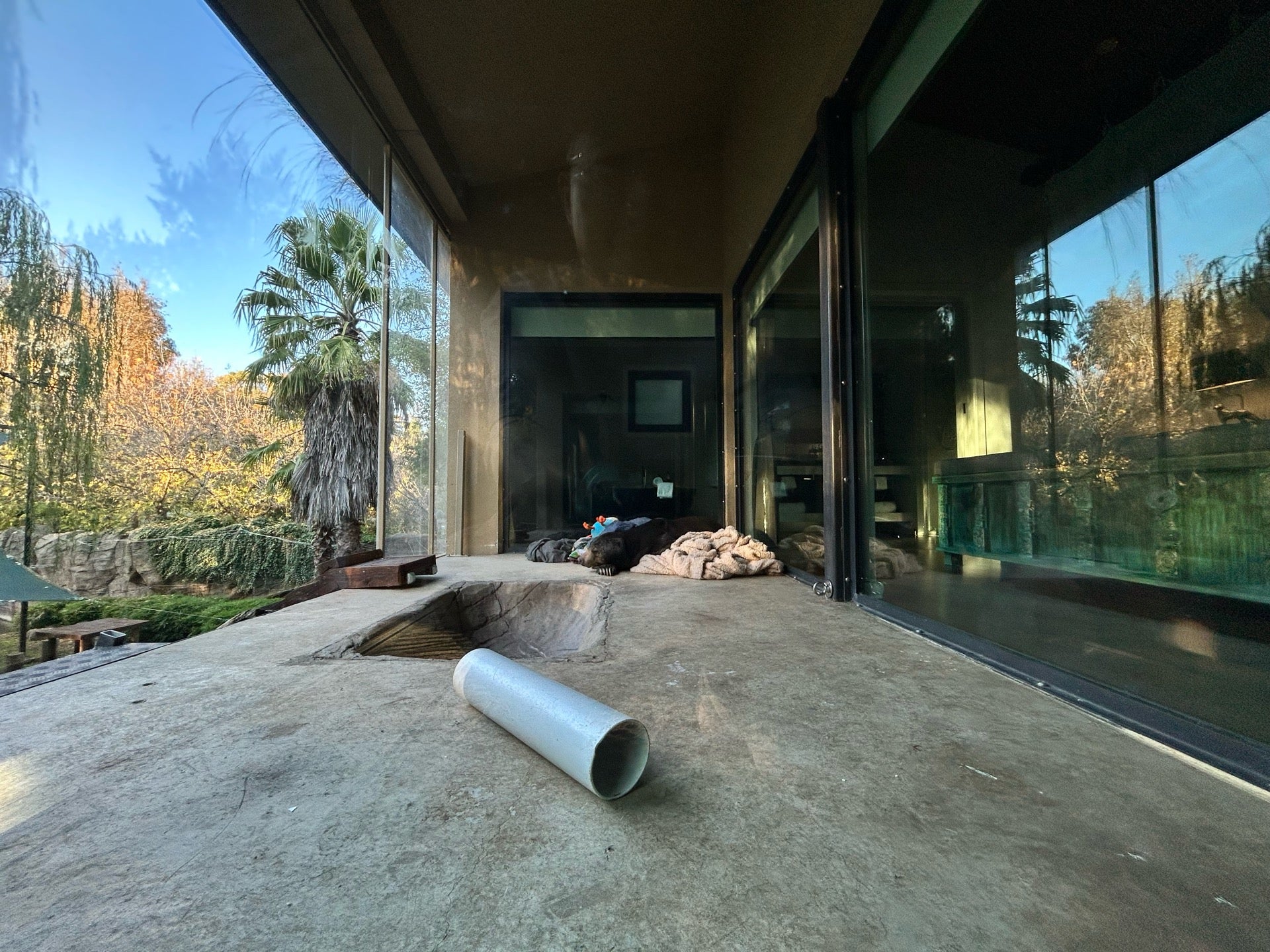 Jamala Wildlife Lodge