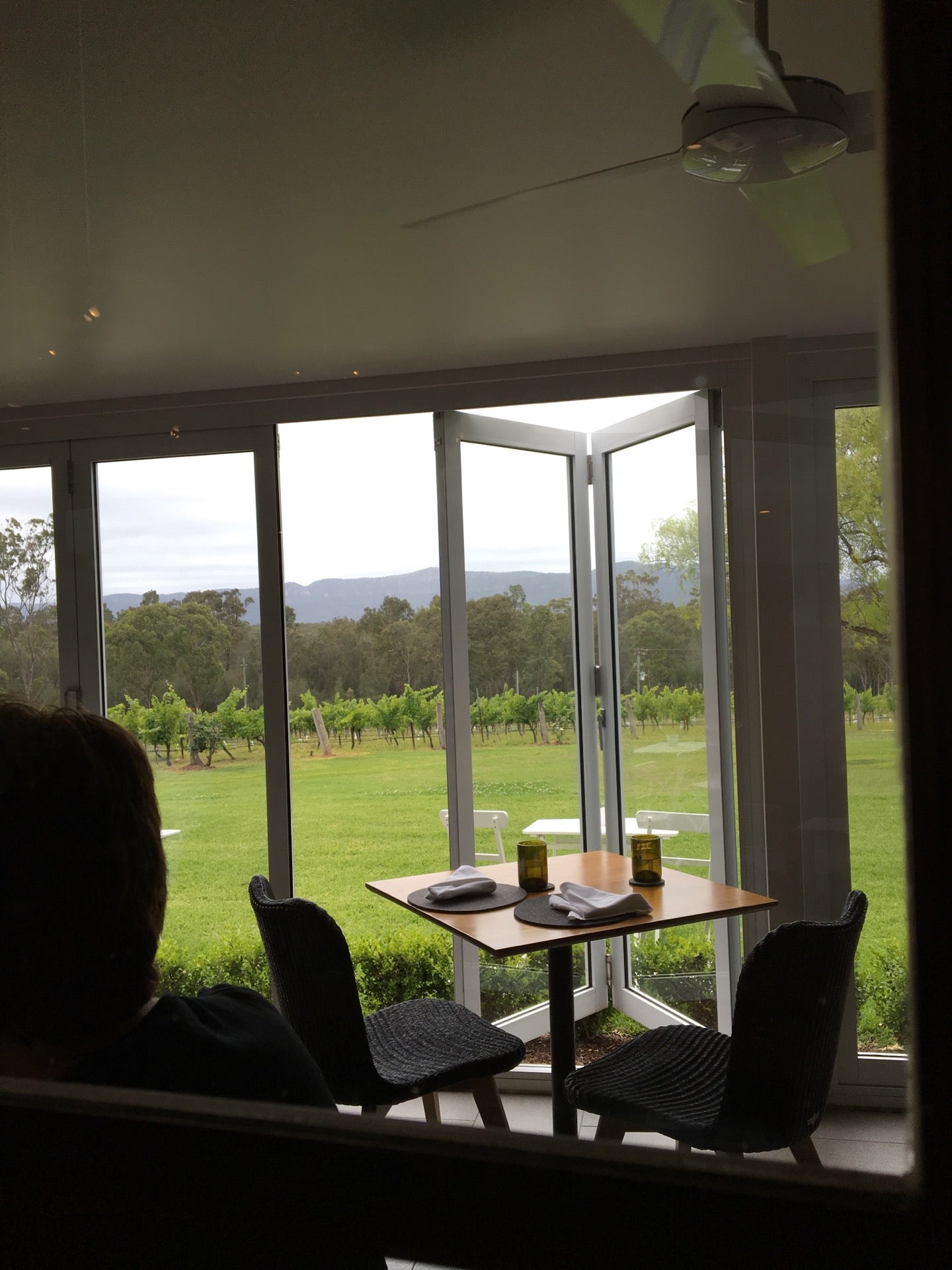 Spicers Vineyards Estate