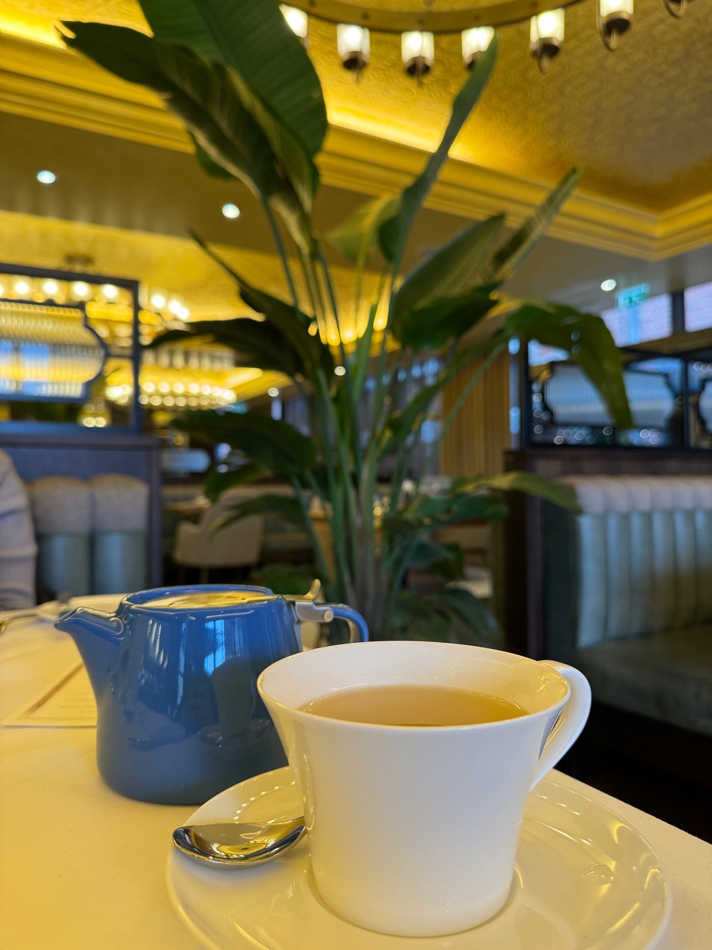 The Grand Hotel & Spa