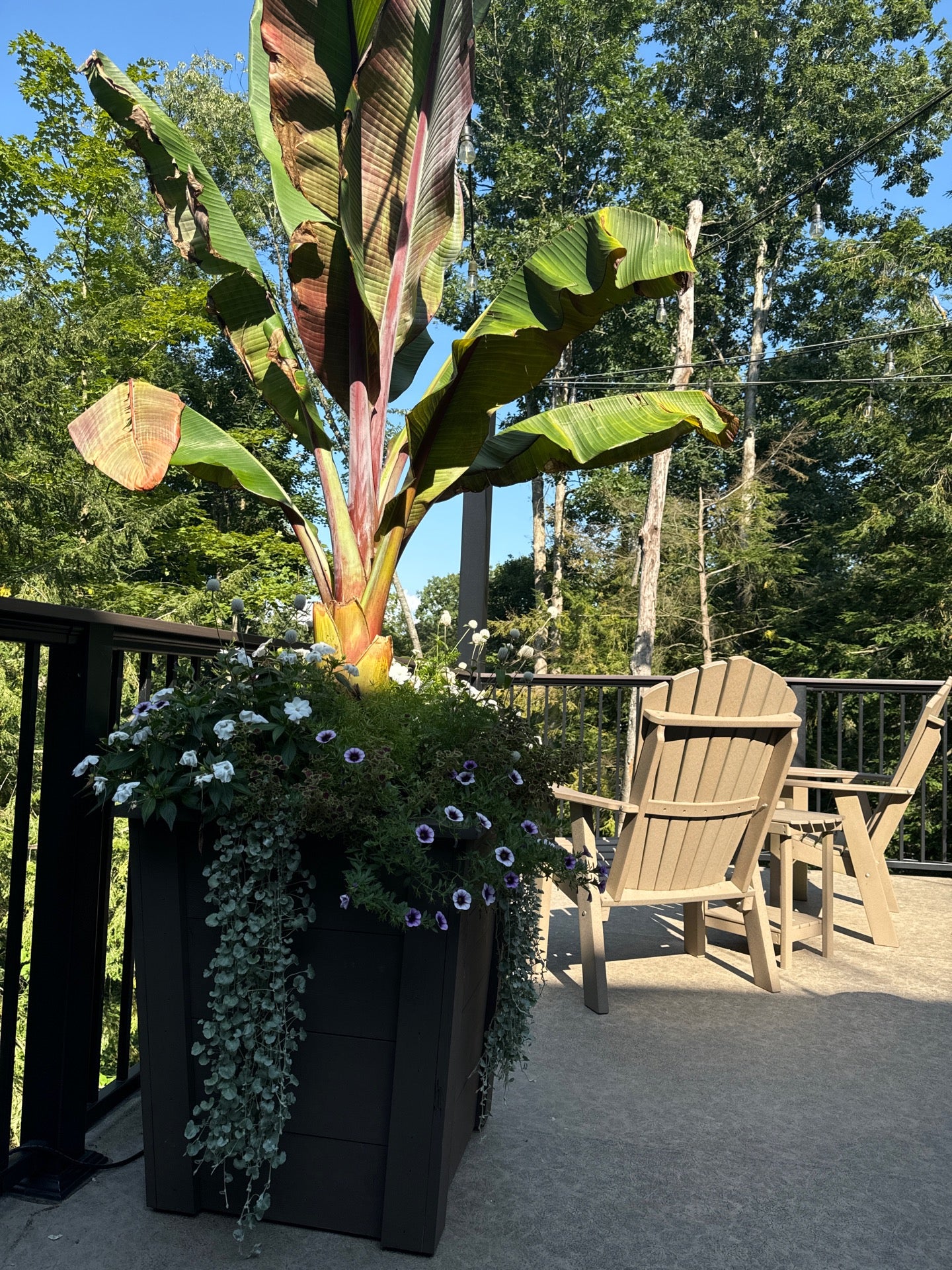 The Inn at Honey Run